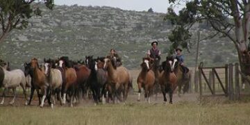 En el día nacional del caballo, Raúl Etchebehere explica la pasión de los criadores: “Pasa por el corazón, no por el bolsillo”