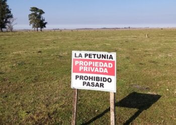 Intentaron usurpar un campo con participación de algunos policías: “Lo que se está viviendo es una locura”, dijo la productora Lorena del Río