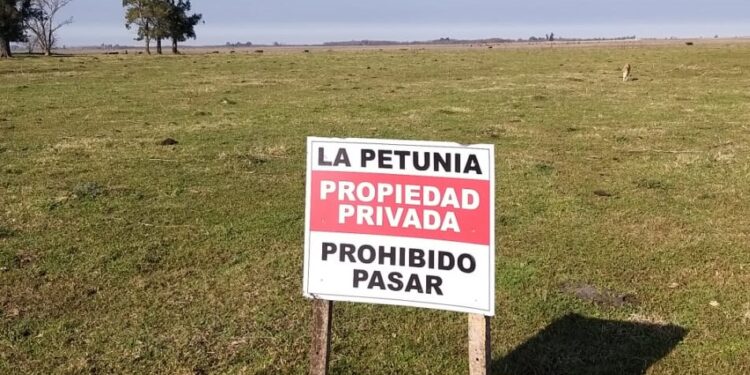 Intentaron usurpar un campo con participación de algunos policías: “Lo que se está viviendo es una locura”, dijo la productora Lorena del Río