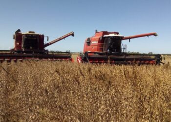 Inédita experiencia entre contratistas de La Pampa: Comparten sus números en una plataforma, para cooperar en vez de competir