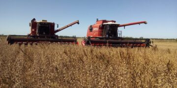 Inédita experiencia entre contratistas de La Pampa: Comparten sus números en una plataforma, para cooperar en vez de competir