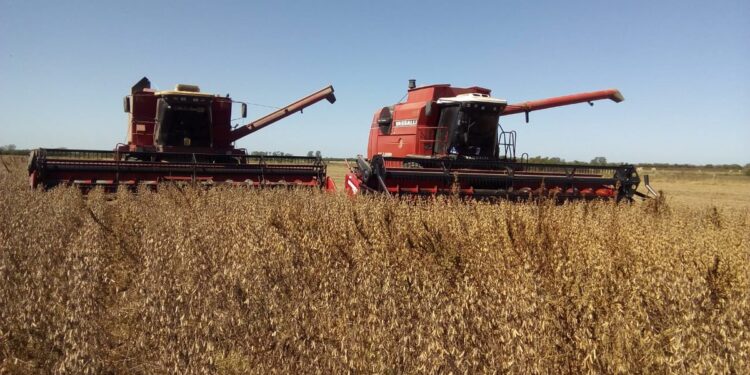 Inédita experiencia entre contratistas de La Pampa: Comparten sus números en una plataforma, para cooperar en vez de competir