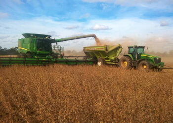 ¿Qué es el Programa Argentino de Carbono Neutro? Su coordinadora, Sabine Papendieck, afirma que en 2021 se verán avances concretos