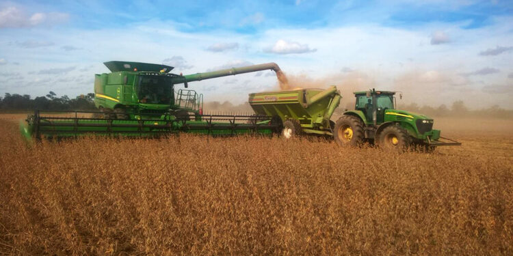 ¿Qué es el Programa Argentino de Carbono Neutro? Su coordinadora, Sabine Papendieck, afirma que en 2021 se verán avances concretos