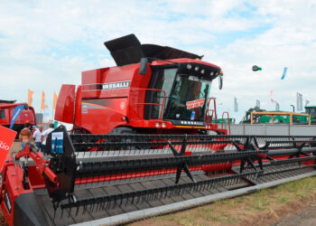 AgroEmpresas: Vassalli pasó la tormenta y ofrece financiación mientras Los Grobo mantiene su calificación