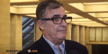 CAME se suma a la cruzada exportadora: Calculó que las economías regionales podrían duplicar sus divisas en pocos años