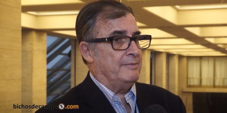 CAME se suma a la cruzada exportadora: Calculó que las economías regionales podrían duplicar sus divisas en pocos años