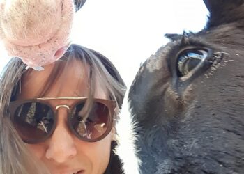 Periodista especializada en lechería, Elida Thiery describe: “Es un sector muy manso, que no tiene peso político alguno”