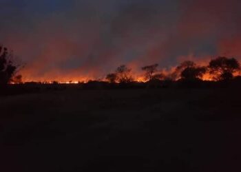 El fuego se llevó lo que quedaba: Un nuevo incendio en el INTA de Corrientes quemó lo que había sobrevivido hace un mes