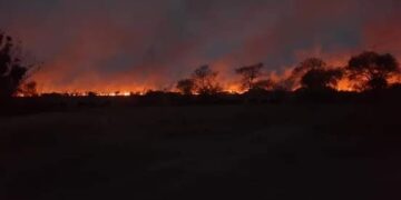 El fuego se llevó lo que quedaba: Un nuevo incendio en el INTA de Corrientes quemó lo que había sobrevivido hace un mes