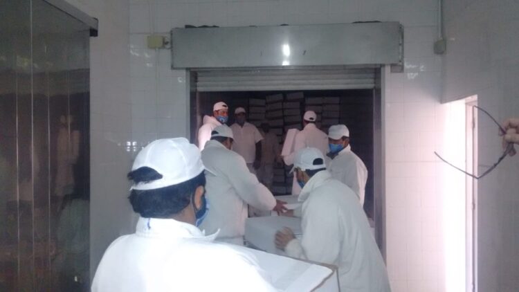 Los chivos del Impenetrable viajan a Bahamas sin escalas: Chaco retoma la exportación de carne caprina