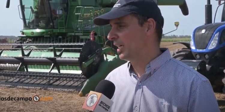 ¿Cómo será la maquinaria agrícola del futuro? Según Hernán Ferrari, del INTA, funcionarán con bioenergías, harán análisis de suelos y evitarán su compactación