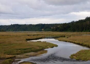 Ley de Humedales: Para CRA, los proyectos en danza “se ocupan exclusivamente de lo natural, en desmedro del hombre y sus necesidades”.