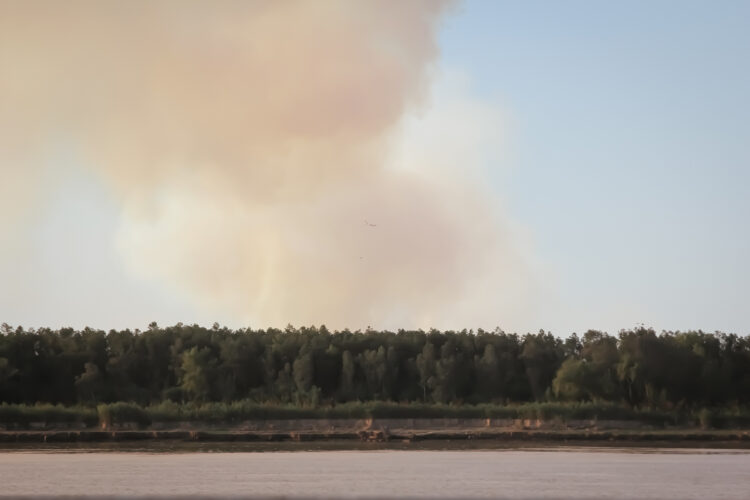 Lucila Lehmann es diputada opositora y agropecuaria: “Desde que asumió Alberto no hubo una sola buena noticia para el sector”