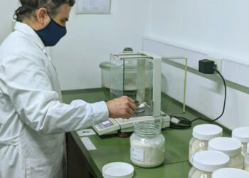 El patrón del pan: Lo definió el INTI para poder analizar las harinas y sus derivados