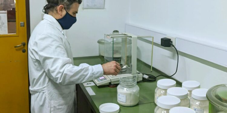 El patrón del pan: Lo definió el INTI para poder analizar las harinas y sus derivados