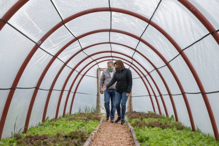 Río Negro lanzó un programa para construir mil invernaderos: El objetivo es lograr familias que produzcan sus propias verduras