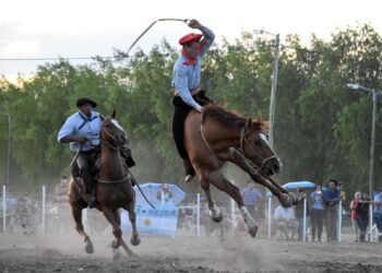 Destrezas Gauchas: La actividad hípica más tradicional tiene la asociación de criadores más joven