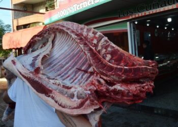 Erase una vez en Argentina… Duerme en el limbo aquella prohibición de bajar las medias reses al hombro