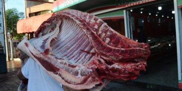 Erase una vez en Argentina… Duerme en el limbo aquella prohibición de bajar las medias reses al hombro
