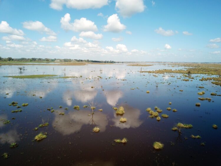Roberto Medina rescata tradiciones y defiende el humedal: “Tiene que ver mucho con el gaucho, ser parte del paisaje y cuidarlo”