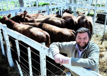 Hoy, día del agricultor, se cumplen diez años de la muerte de Oscar Alvarado: Así recuerdan seis referentes del agro a uno de los grandes innovadores
