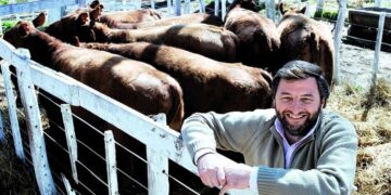 Hoy, día del agricultor, se cumplen diez años de la muerte de Oscar Alvarado: Así recuerdan seis referentes del agro a uno de los grandes innovadores