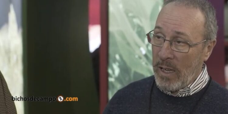 Patricio Gunning nos cuenta qué piensa hacer Bayer para ayudar a los productores argentinos a subirse al mercado de carbono