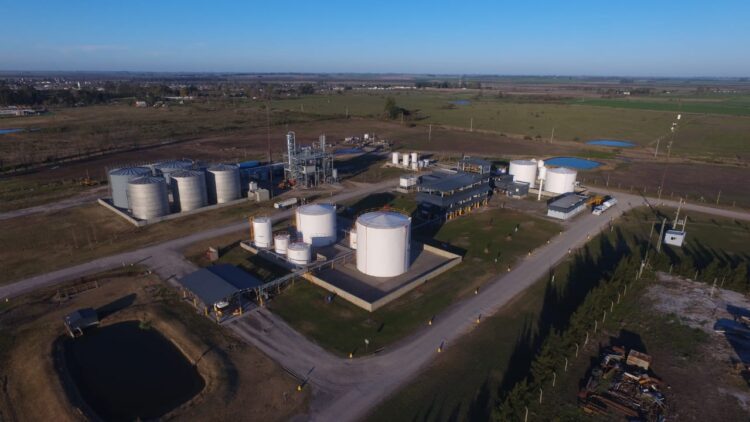 ¿La industria del biocombustible está en peligro de extinción? Francisco Jáuregui, de las Pymes del sector, responde con un rotundo y angustiante sí