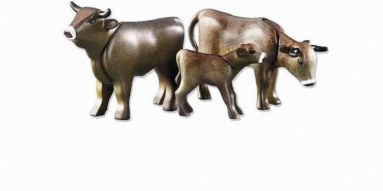 CNA 2018: Salvando el yerro histórico sobre el stock, el INDEC mostró una ganadería bovina todavía bastante artesanal