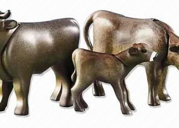 CNA 2018: Salvando el yerro histórico sobre el stock, el INDEC mostró una ganadería bovina todavía bastante artesanal