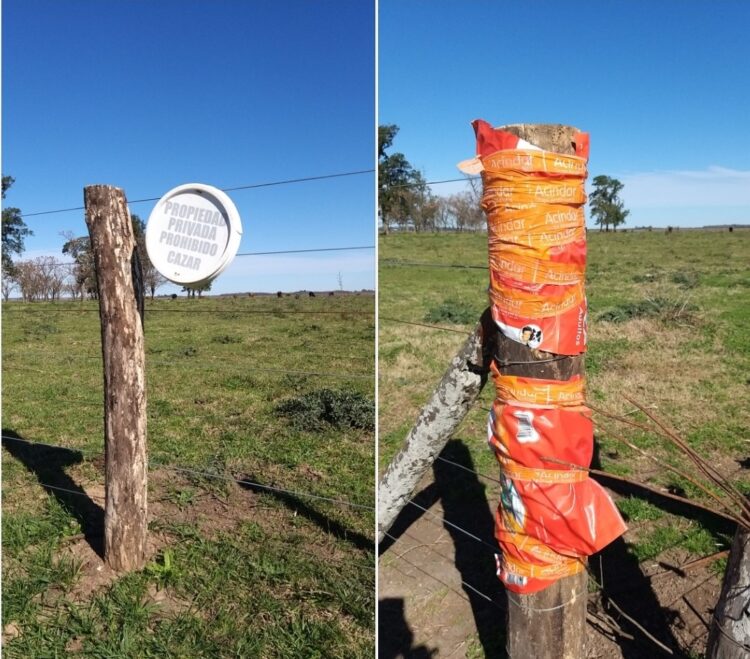 Intentaron usurpar un campo con participación de algunos policías: “Lo que se está viviendo es una locura”, dijo la productora Lorena del Río
