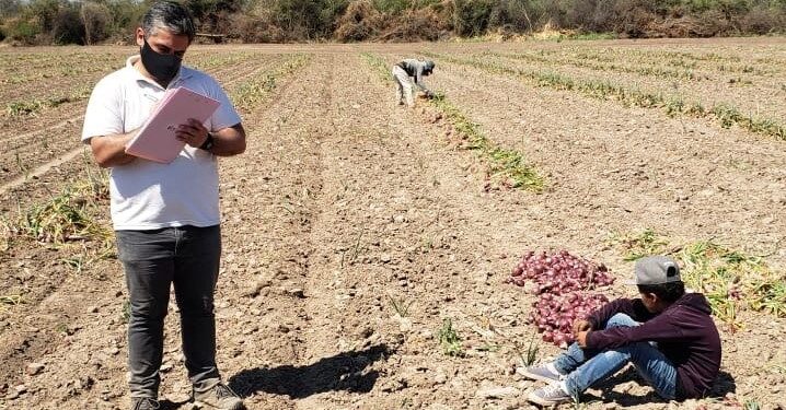 Una que sabemos todos: Detectaron nuevos casos de trabajo infantil, esta vez en un establecimiento hortícola en Santiago del Estero