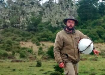 Sebastián Cabeza cría perros protectores del ganado en el fin del mundo: “Es la mejor herramienta para evitar vivir en guerra con los predadores”
