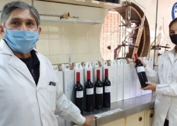 Organismos elaboran parámetros para medir y controlar la calidad e inocuidad de los vinos