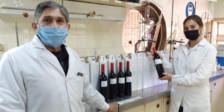 Organismos elaboran parámetros para medir y controlar la calidad e inocuidad de los vinos