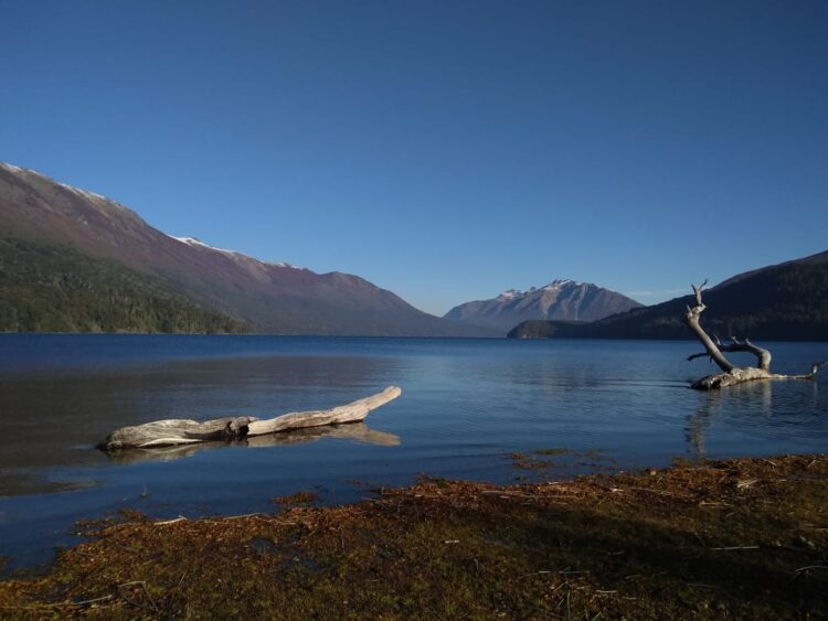 Hay otros mapuches que viven pacíficamente en las tierras de Villa Mascardi y que denuncian amenazas y quemas de los violentos