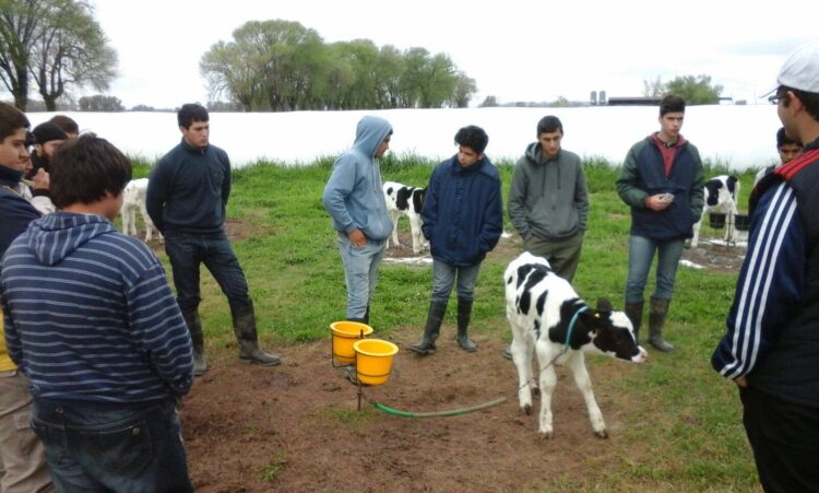 Ladrones con muy mala leche: Desvalijaron el tambo de un Centro de Formación Rural en General Rodríguez