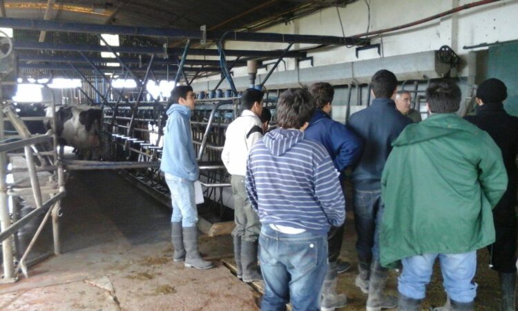 Ladrones con muy mala leche: Desvalijaron el tambo de un Centro de Formación Rural en General Rodríguez