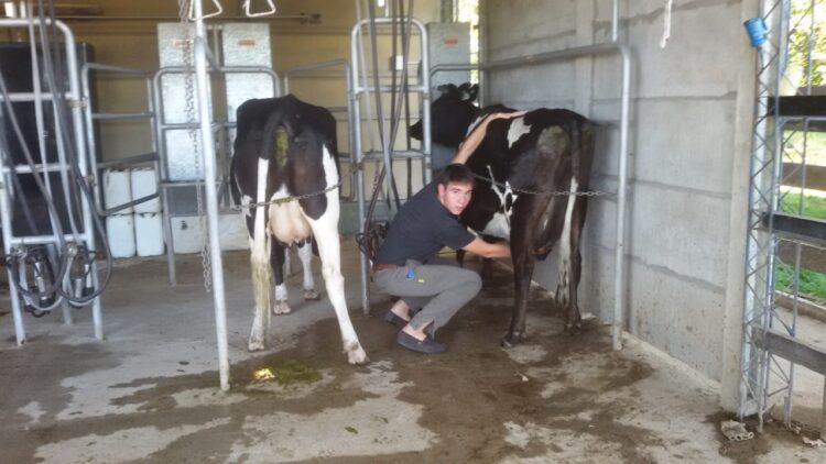 Ladrones con muy mala leche: Desvalijaron el tambo de un Centro de Formación Rural en General Rodríguez