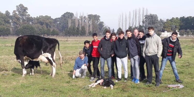 Ladrones con muy mala leche: Desvalijaron el tambo de un Centro de Formación Rural en General Rodríguez