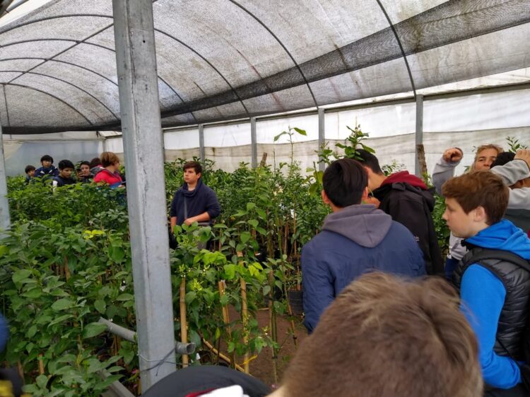 Ladrones con muy mala leche: Desvalijaron el tambo de un Centro de Formación Rural en General Rodríguez