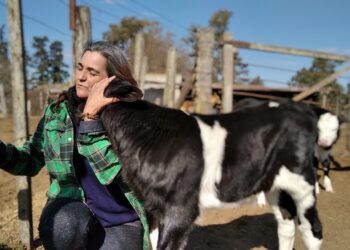 Alejandra Badino ama profundamente el tambo: “Sé que es un sacrificio, pero es mi cable a tierra”, asegura