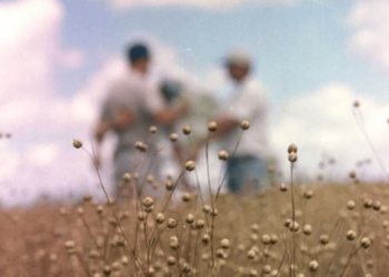 Una pregunta necesaria que nunca se termina de contestar: ¿Puede haber un “nosotros” en el agro argentino?