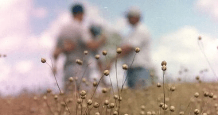 Una pregunta necesaria que nunca se termina de contestar: ¿Puede haber un “nosotros” en el agro argentino?