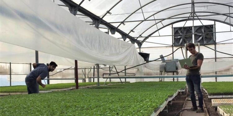 ¿Vos sabés todo lo que sucede dentro de un invernadero? Un desarrollo de estudiantes platenses permite un monitoreo continuo