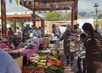 Viejos anhelos de “minga” y de trabajo comunitario se respiran en el Valle Calchaquí