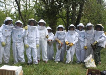 Reinas de Corazones: Mujeres se organizan de modo solidario para producir miel y así logran tener una oportunidad de ingresos propios