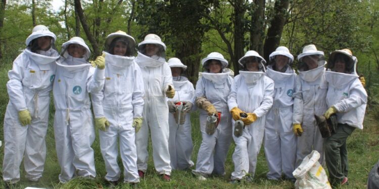 Reinas de Corazones: Mujeres se organizan de modo solidario para producir miel y así logran tener una oportunidad de ingresos propios