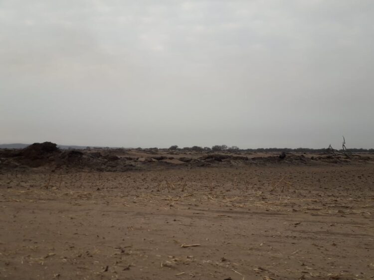 A Jorge Cignetti se le quemó el campo en San Luis, mientras la política le impedía ingresar: “Lo más preciado que teníamos era la cobertura, que es la vida del suelo”